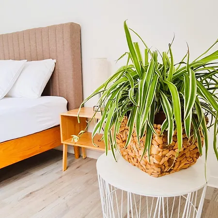 아파트 Naehe Airbus 만칭